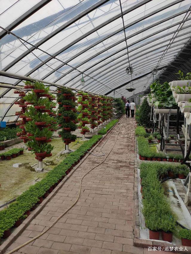智能温室种植技术 园艺技术的现代革新之路