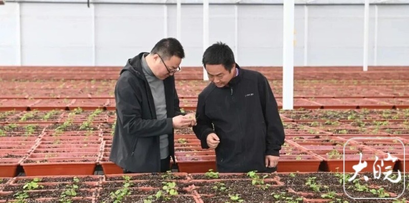 安徽首个5G智慧农业高硒植物工厂 让富硒产品融入百姓日常饮食 智能温室